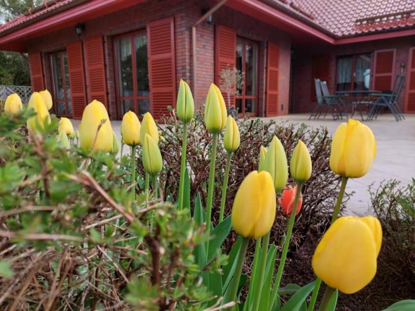 Port Jeziorak Bed & Breakfast Ilawa Exterior photo